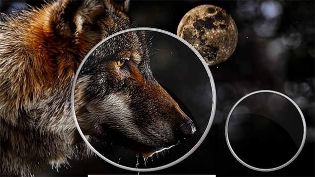 falsos mestres papo com Deus